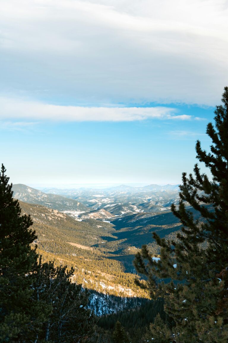Wandern mit Aussicht in Deutschland – Blick vom Berg über ein bewaldetes Tal bei klarer Sicht