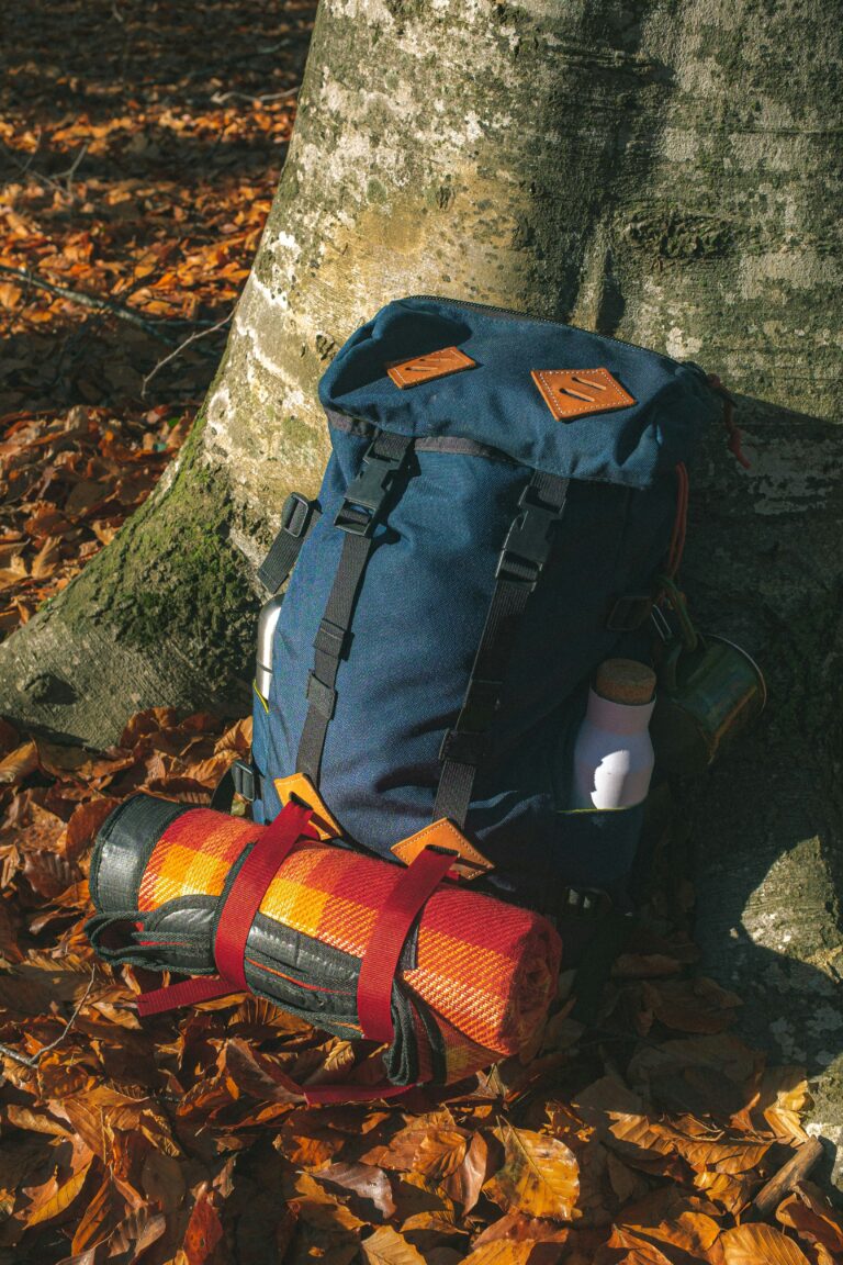 Wanderrucksack mit Isomatte und Trinkflasche lehnt an einem Baum im herbstlichen Wald, umgeben von buntem Laub.